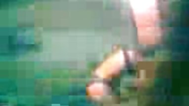Dp